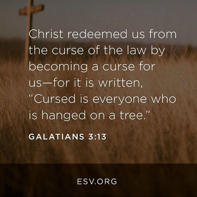 Redeemed from the curse by the One who became a curse for us!#campiroquoina #esv #galatians3 #bible