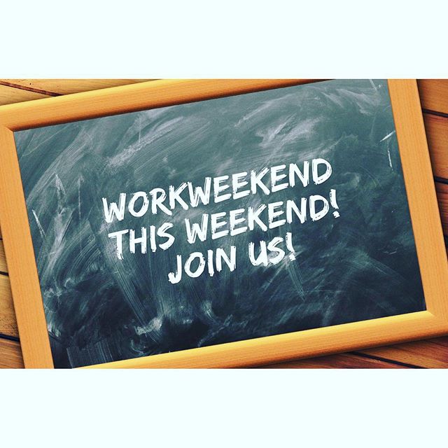 Work Weekend is this Weekend! Still time to join us! Please pray for all those coming up to help with the work! #campiroquoina #workweekend #gottagotowork